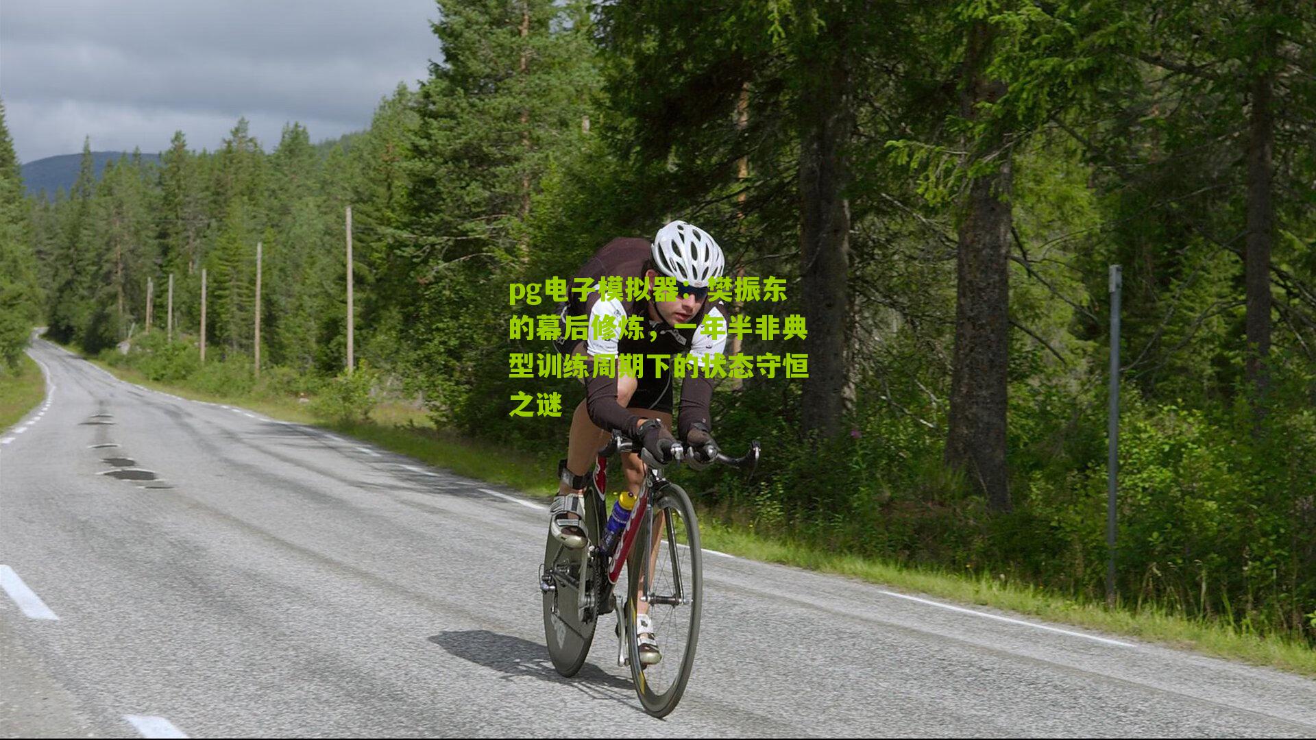 樊振东的幕后修炼，一年半非典型训练周期下的状态守恒之谜