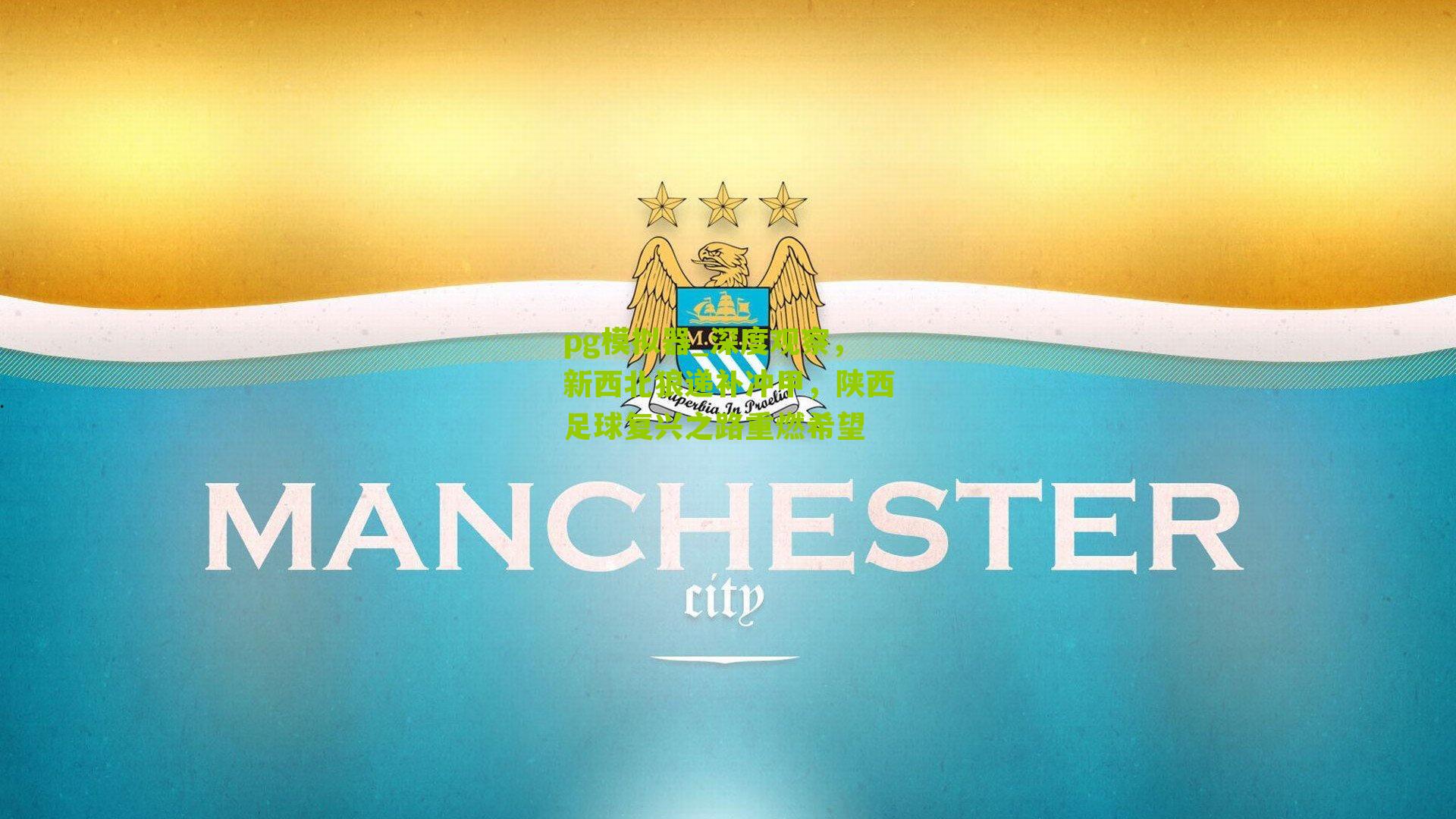 pg模拟器_深度观察，新西北狼递补冲甲，陕西足球复兴之路重燃希望